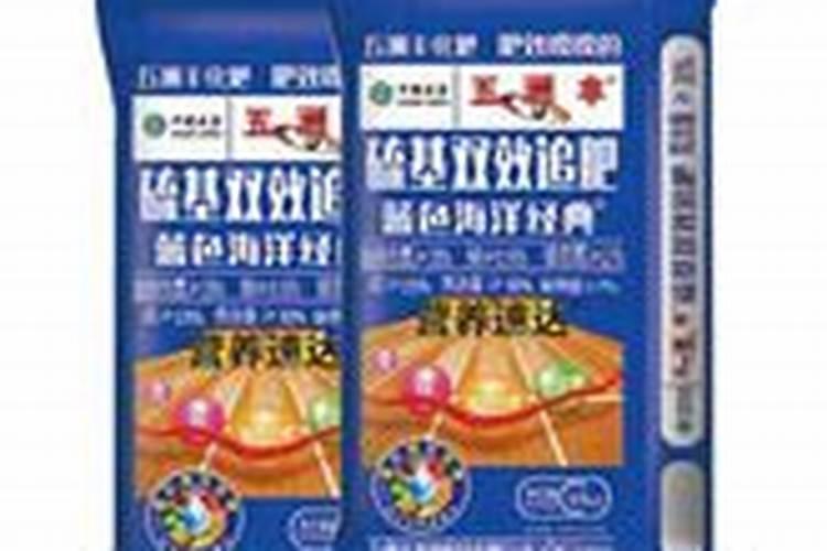秦皇岛好吗？