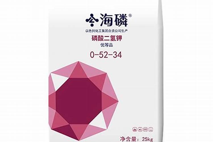 大家帮我看看,这到底是什么植物,我买的时候,卖主说是转运竹,可后来我查...