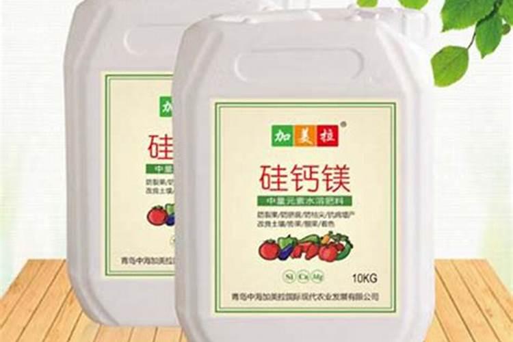 草莓苗种下后多久施肥 草莓苗期管理技术