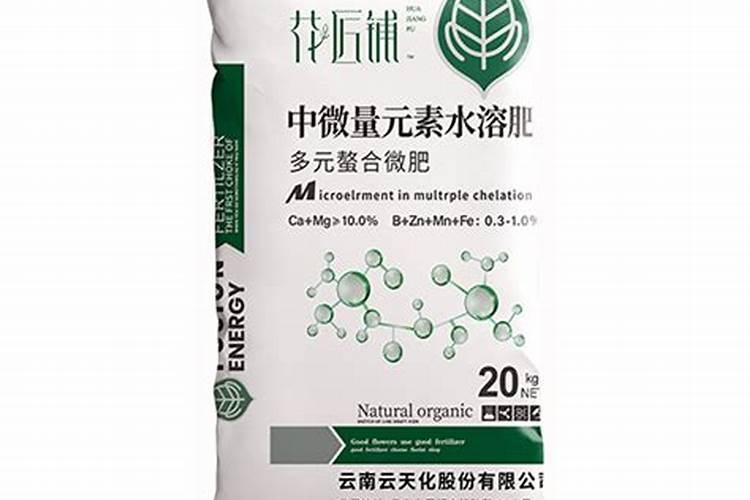 如何种植香草兰