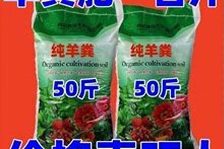 帝玉多肉喜欢什么肥