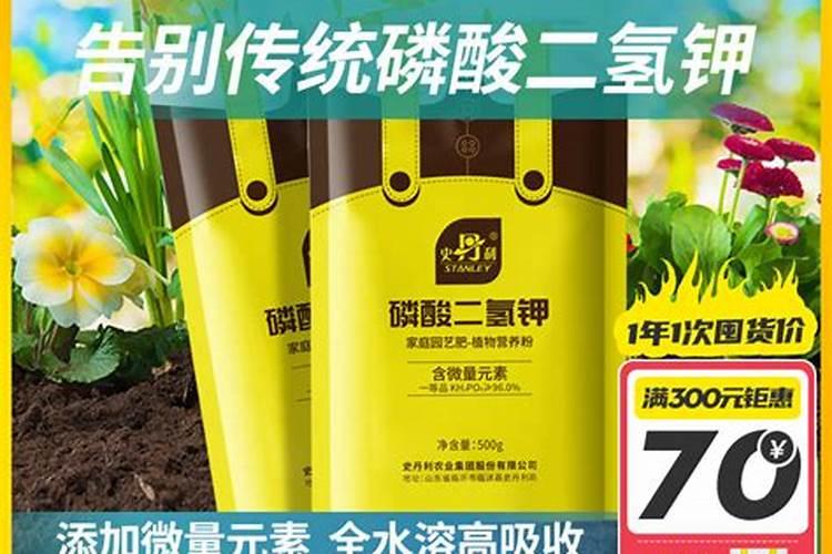 【养花必看】园艺小知识(8)——磷肥