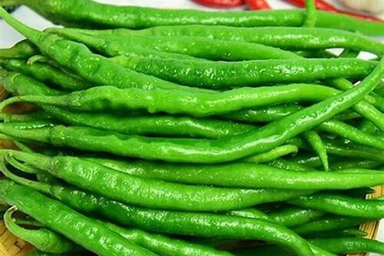 青椒要施多少肥,产多少青椒？