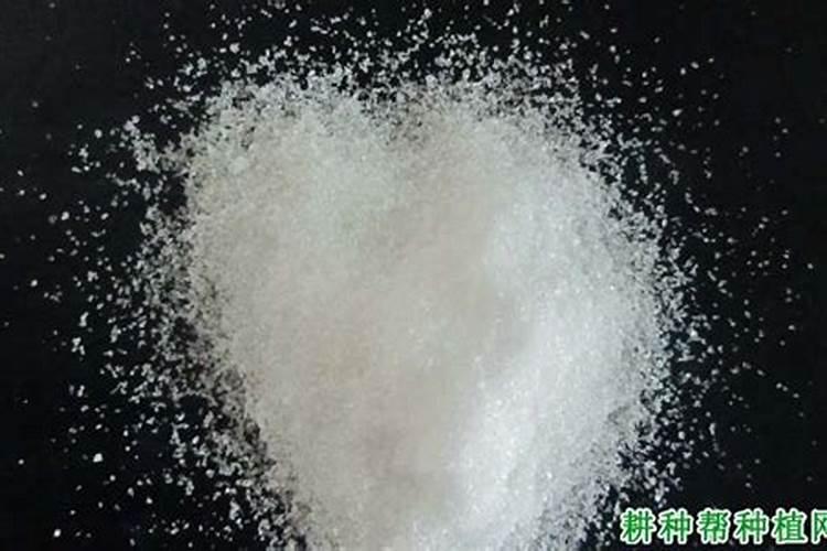 磷肥对果树的作用是什么