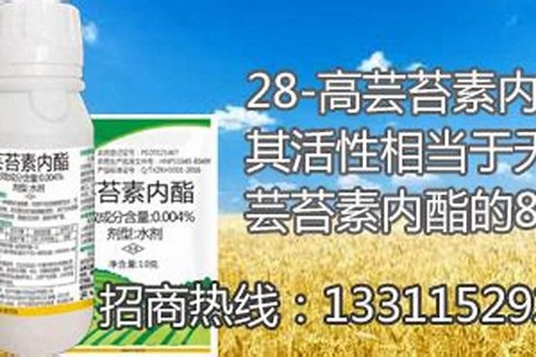种红薯如何使用钾肥