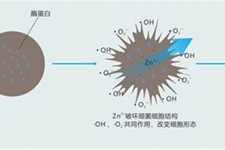 壬菌铜主要防治什么病