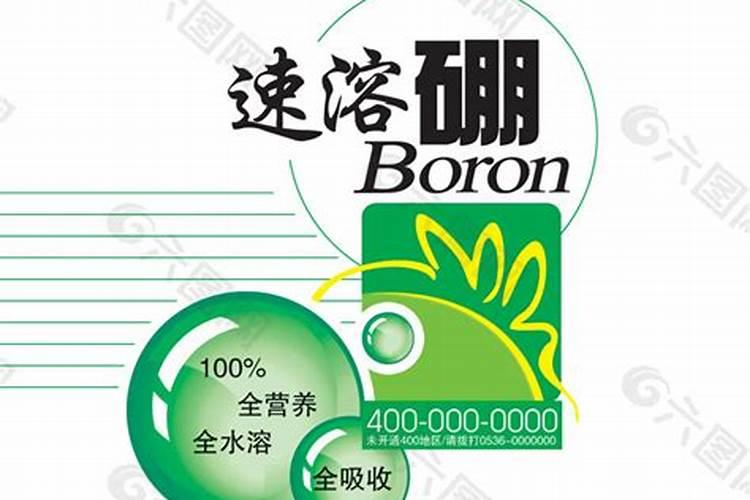 房子后面种值果树好吗？