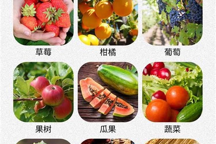 草莓用复合肥好还是水溶肥好呢？