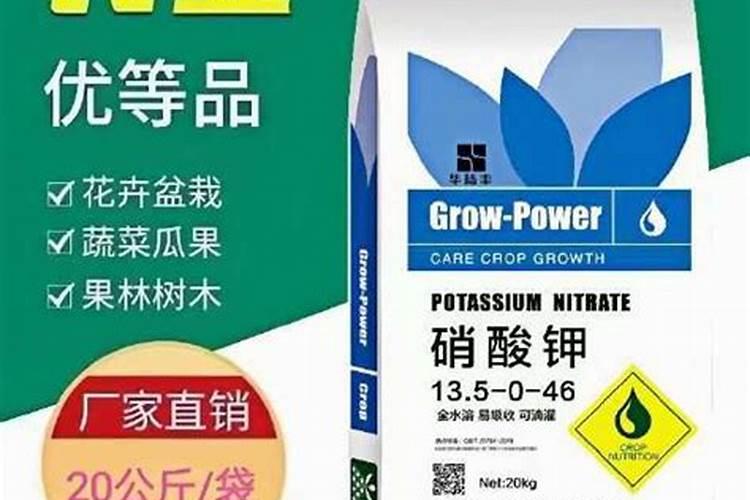 红薯如何种植才能获得高产？