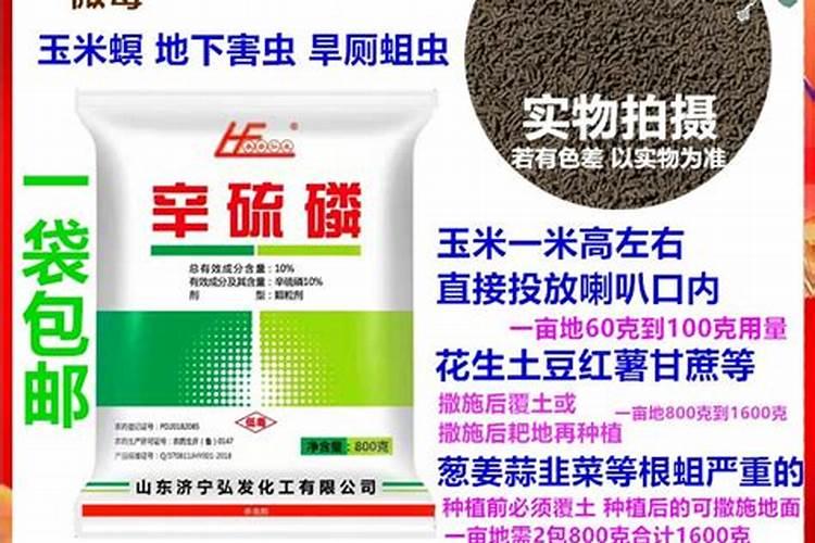 辛硫磷主要杀什么虫