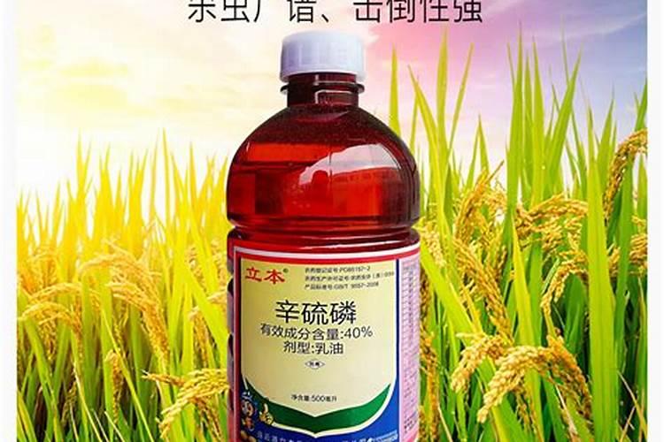 玉米地膜覆盖栽培玉米地膜覆盖栽培技术