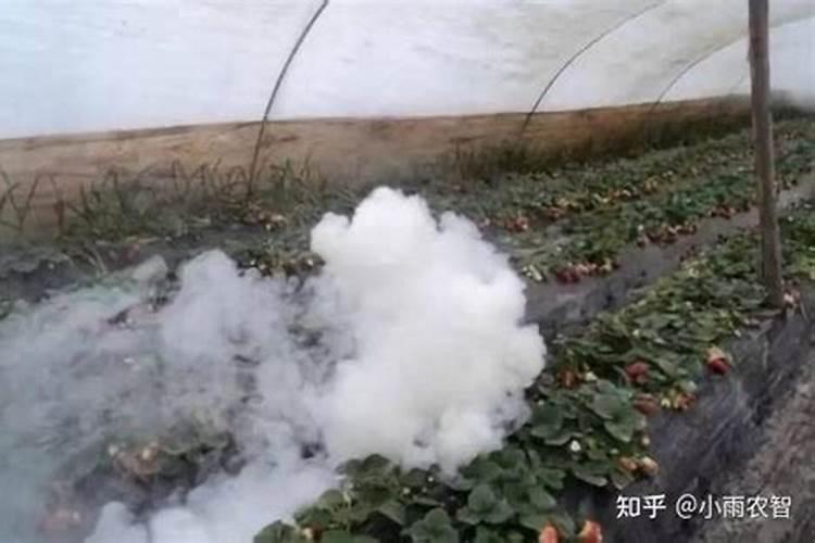 要桔子甜放什么肥料