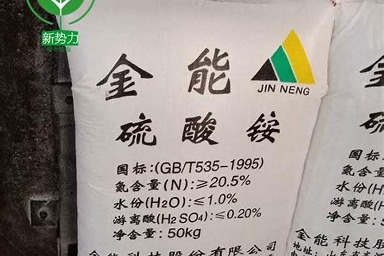 黑糯玉米和黄糯玉米有什么区别？