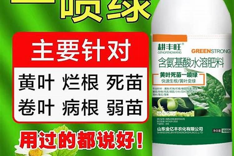 叶面肥隔几天喷一次