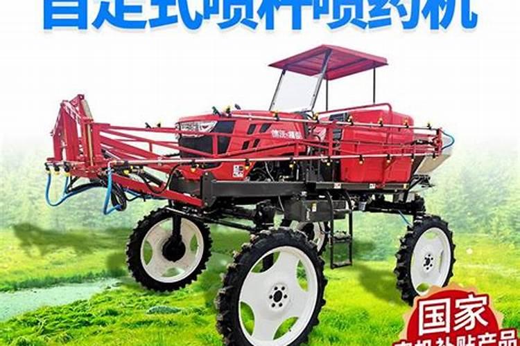 生菜叶片增厚用什么叶面肥