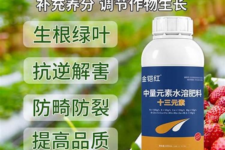 柿子树什么时候喷施钙镁硼锌铁叶面肥？