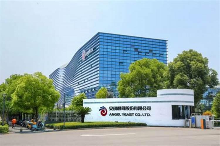 追肥来改善果实的品质,有哪些有机肥料最合适？