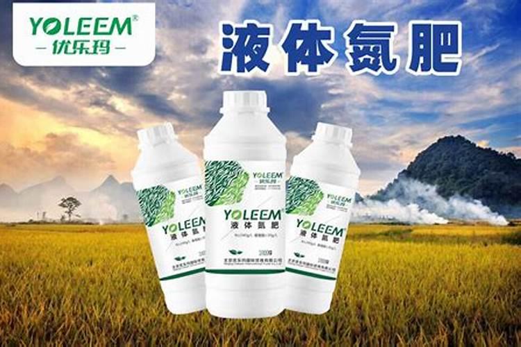阳光玫瑰葡萄枝条扁能行成花芽吗？