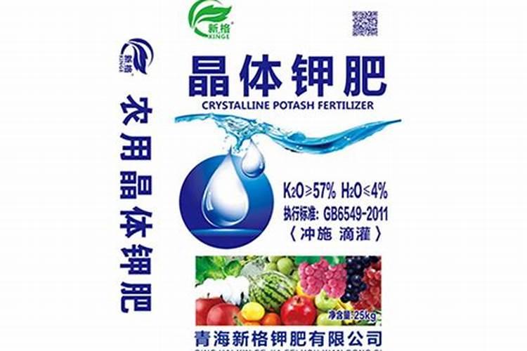 发财树烂根了怎么办 发财树烂根了如何处理