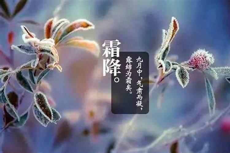 我家的木瓜树变得叶子黄。怎么解决？