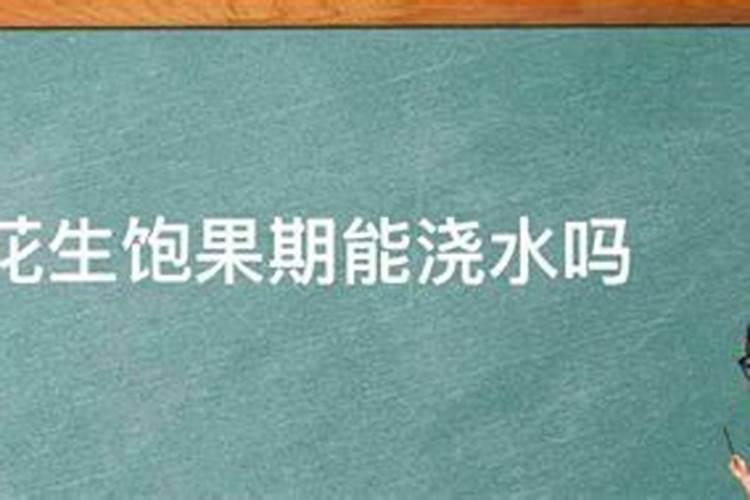 花生不同生长阶段的叶面肥使用技巧 花生应该怎么施肥