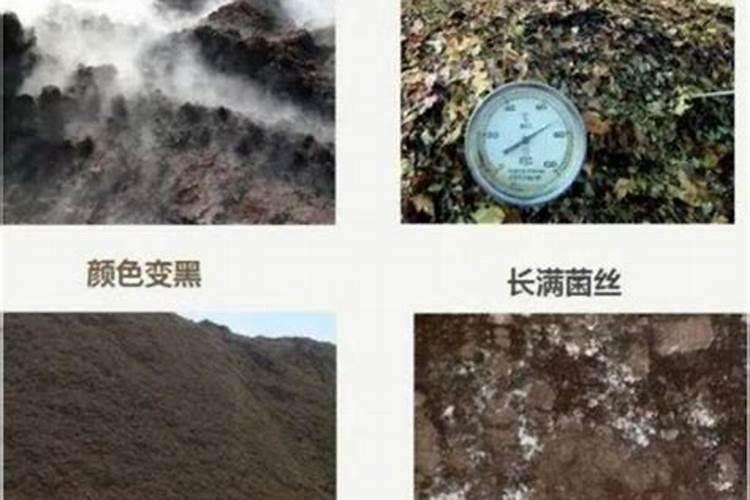 钙肥有哪些
