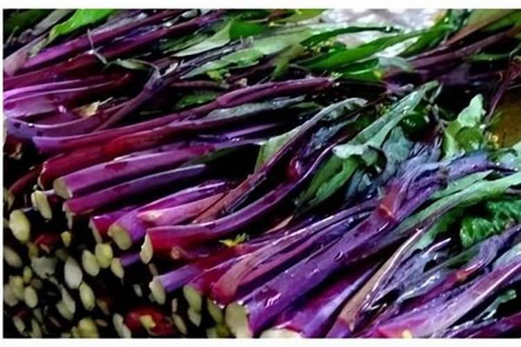 红菜苔施肥方法 怎么给红菜苔施肥