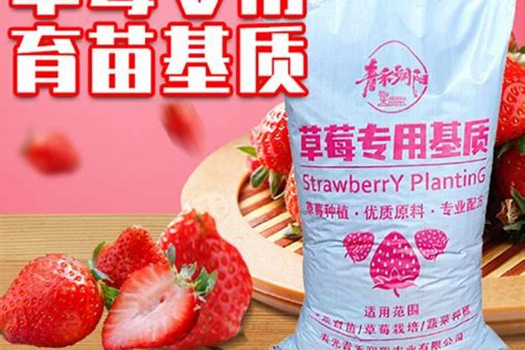 空心菜无土栽培方法 无土栽培技术及注意事项