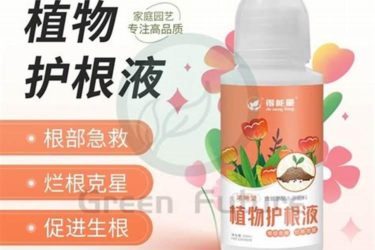 谁有生根壮苗效果比较好的水溶肥？
