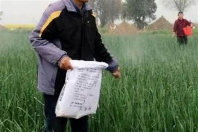 农作物肥料在什么时间最好