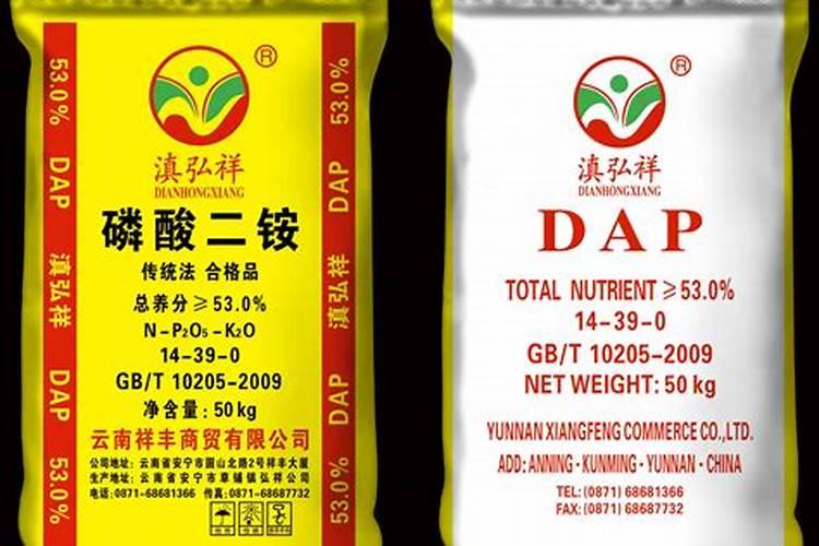 茴香苗种植方法是什么