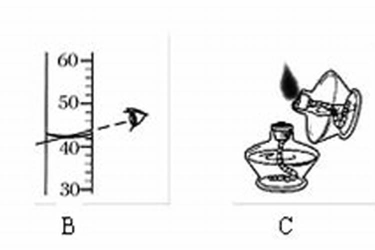 大量元素和微量元素是根据什么分类的