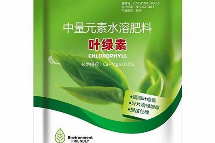 什么肥使叶子绿油油什么肥料可以使叶子变绿