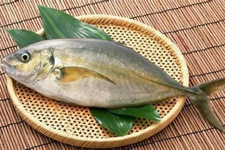 种红薯如何使用钾肥