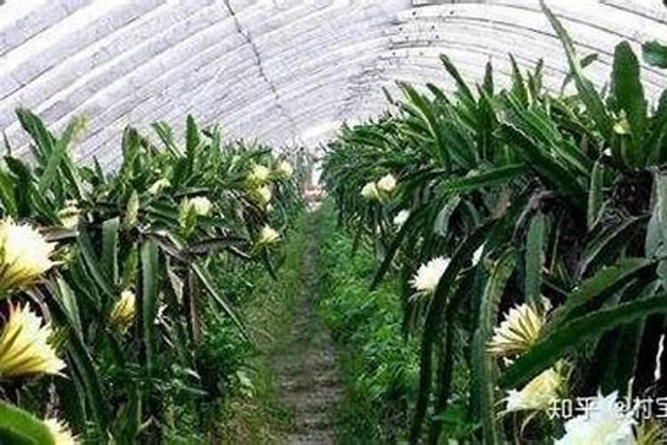 水溶肥浇地的方法