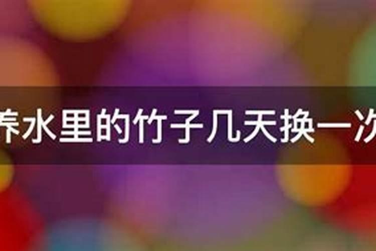 水培竹子怎么养