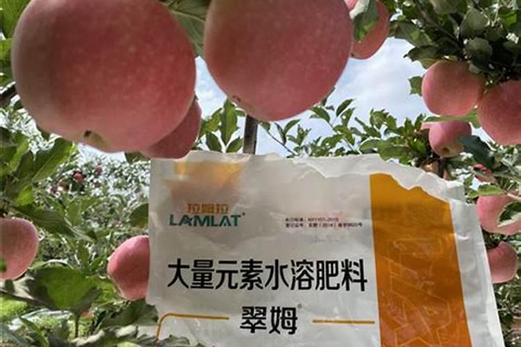 效果好的水溶肥是哪家