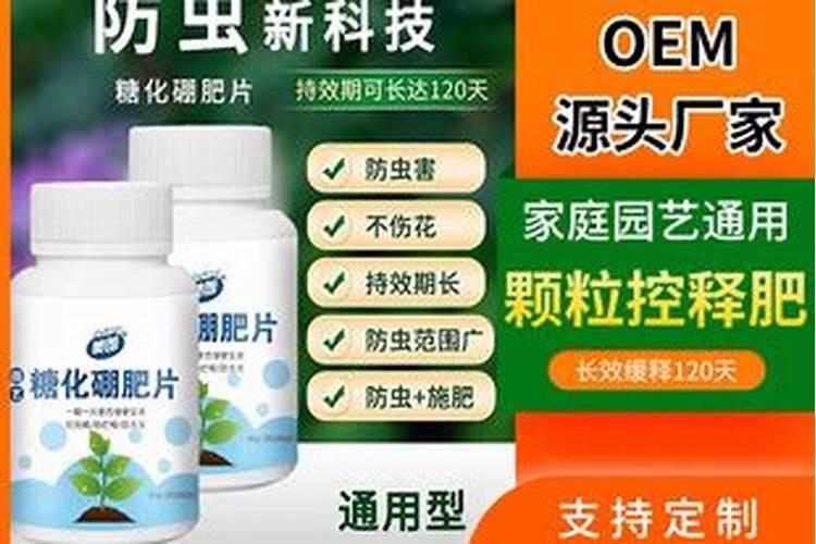 多乐美是做什么的