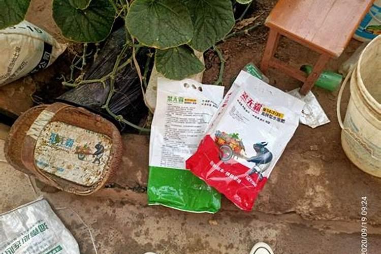 高粮生蚜虫用什么农药比较安全,和叶面肥一起使用可以么？