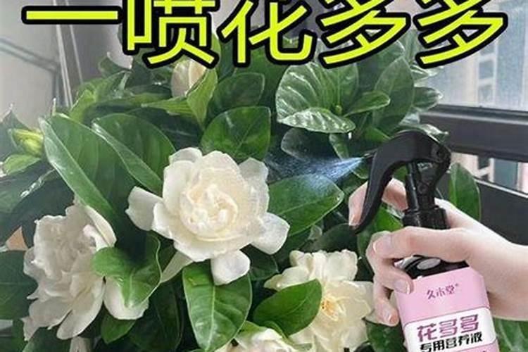 自制万能花肥;黄豆肥的使用方法