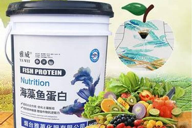 柚子什么时候施壮果肥 使用哪些肥料好