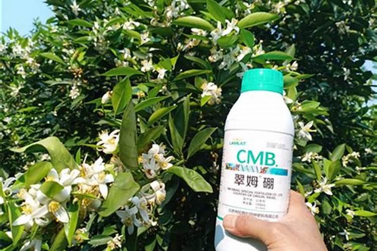 硼肥的作用与功效及使用方法