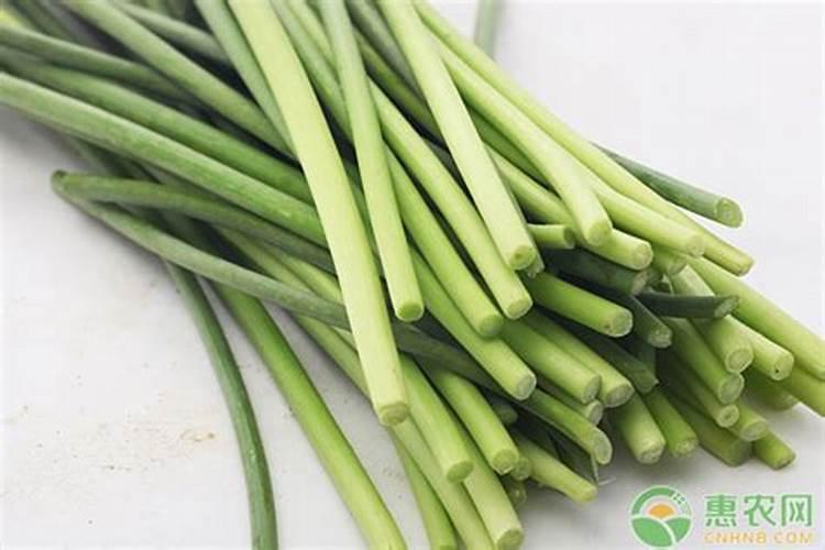 栽种蒜苗,需要怎么施肥呢？什么时候施肥更有效呢？