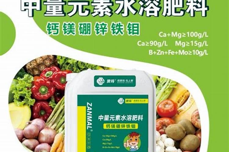 以色列最好的水溶肥是哪家