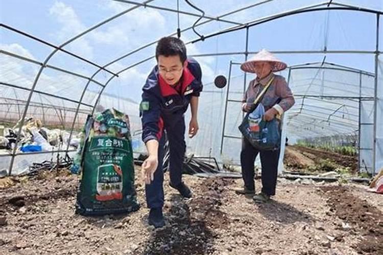 特种肥料和其它肥料有什么区别？