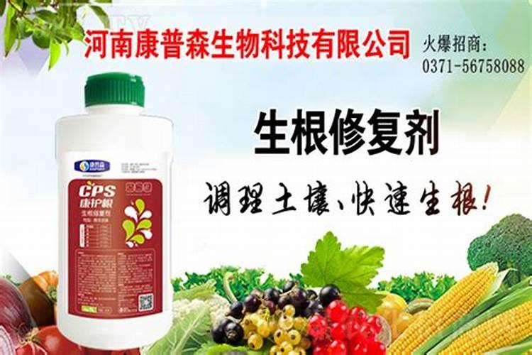 星露谷物语树液有什么用