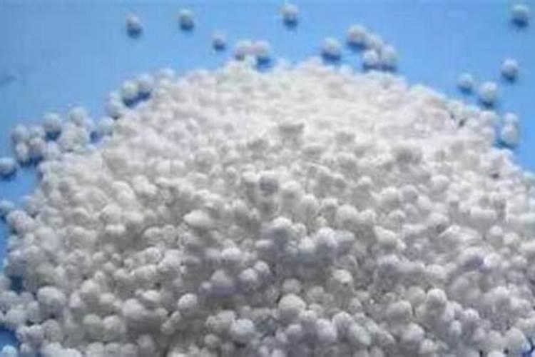 施什么肥树长的快好