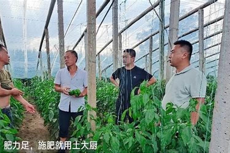 水溶性肥料市场研究报告