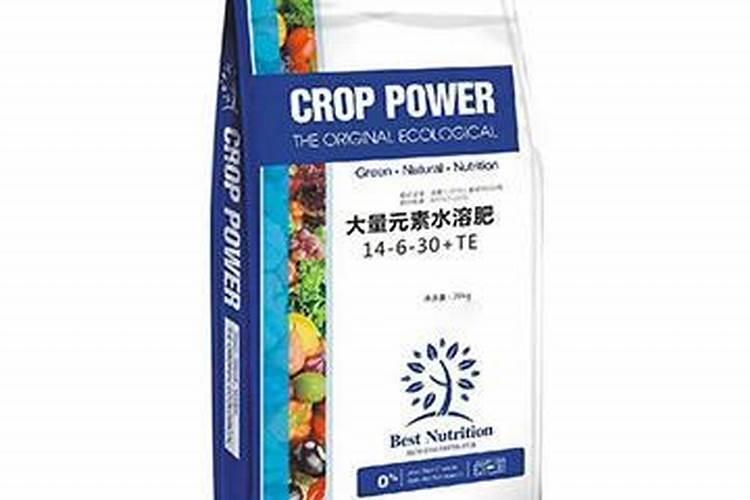 韭菜几个叶子才能吃啊