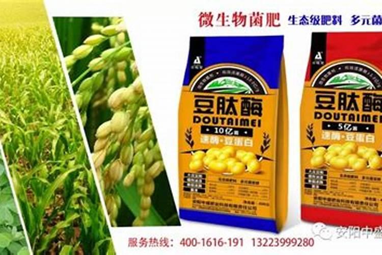 肥料的种类 肥料有哪些种类